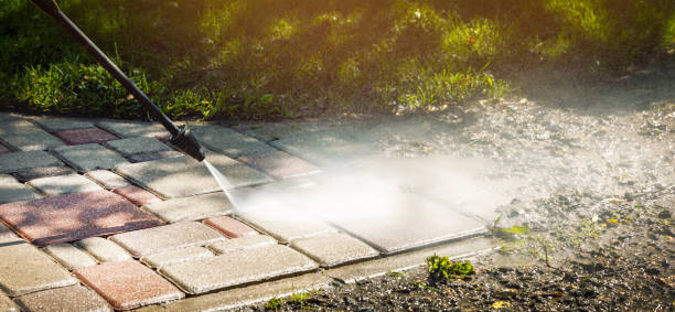 Best Sidewalk and Walkway Cleaning  in Roosevelt Park, MI
